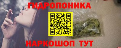 мяу мяу мука Гай