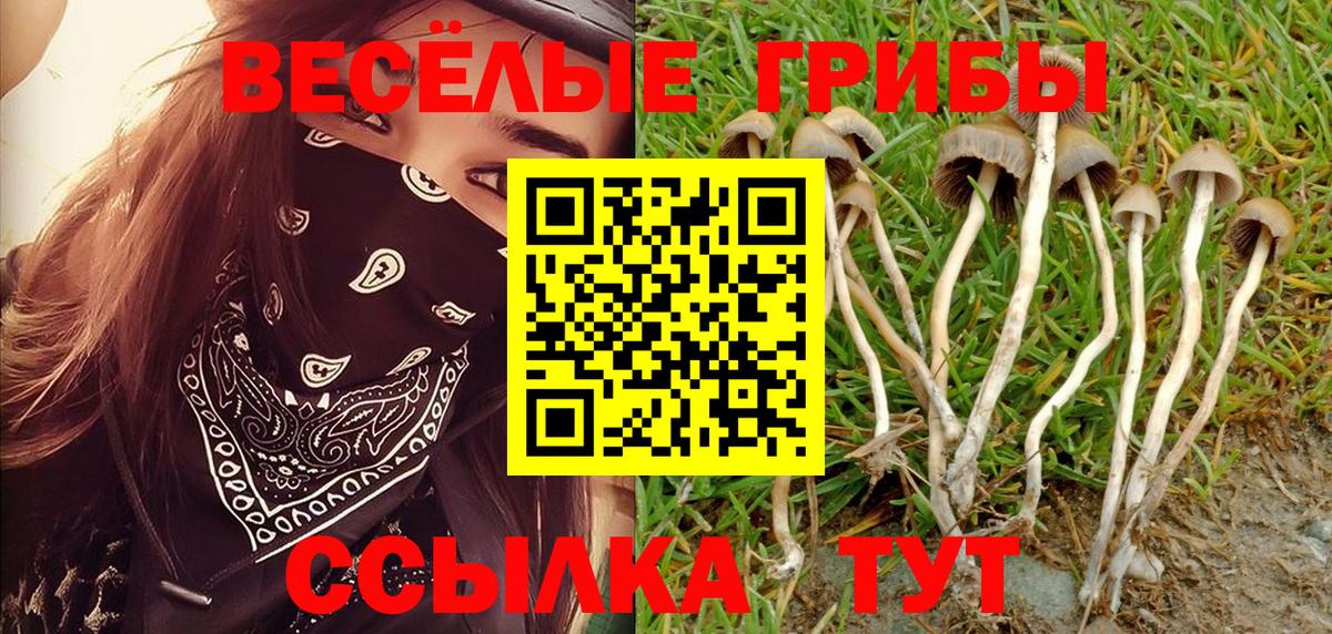 Псилоцибиновые грибы MAGIC MUSHROOMS Назарово